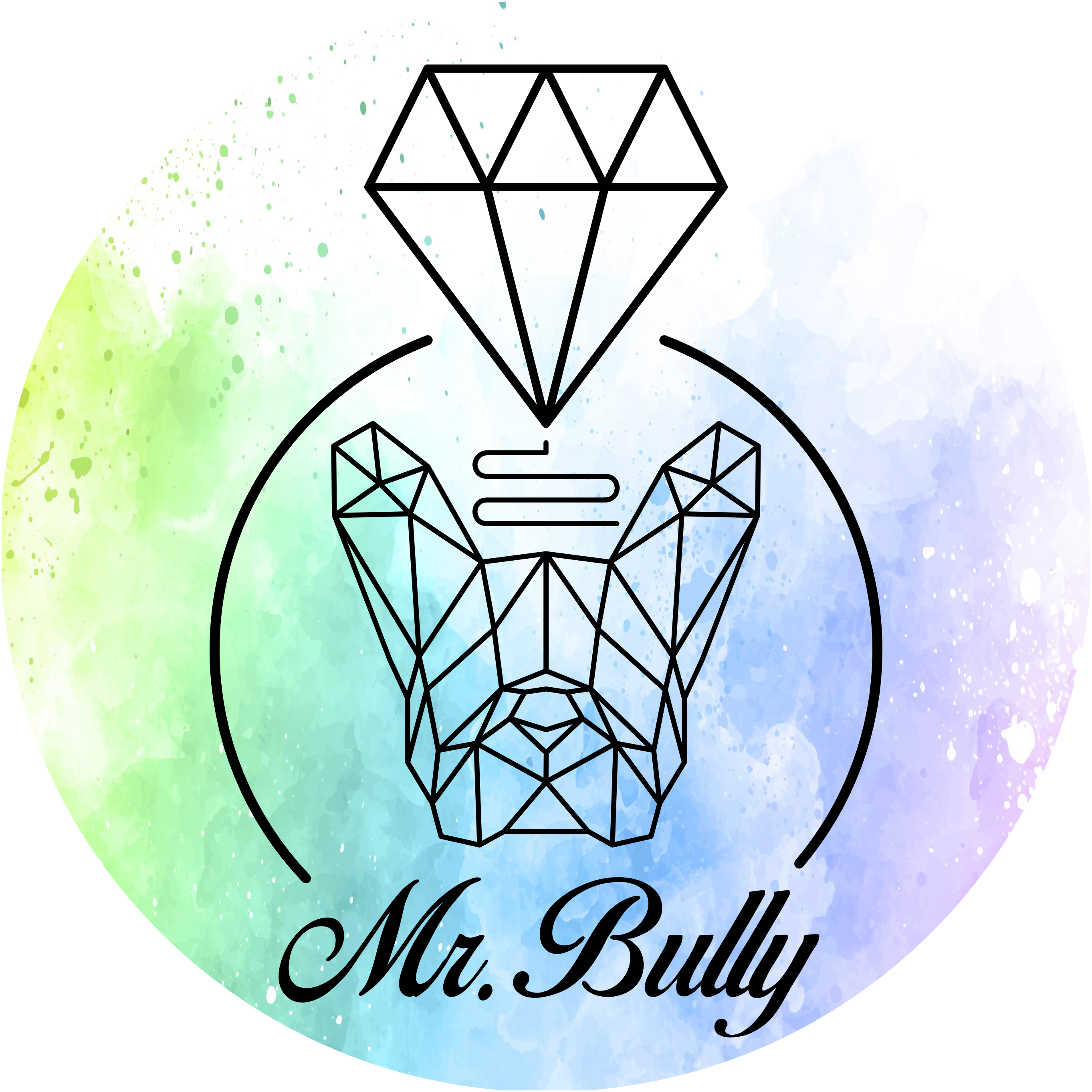 Mr. Bully Onlineshop